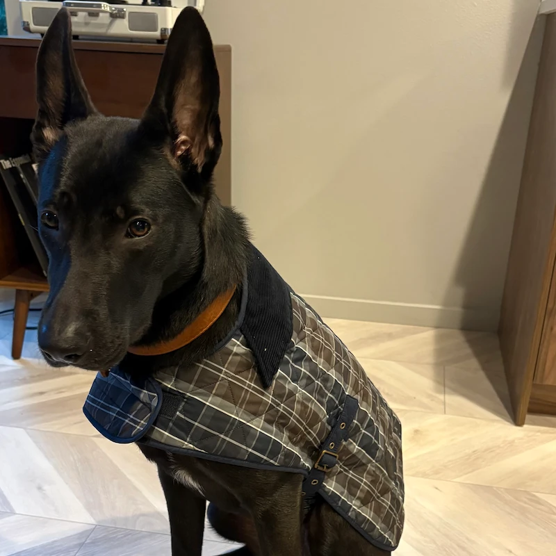Skiá wearing a plaid quilted coat indoors